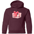 Perfect Gift Youth Pullover Hoodie