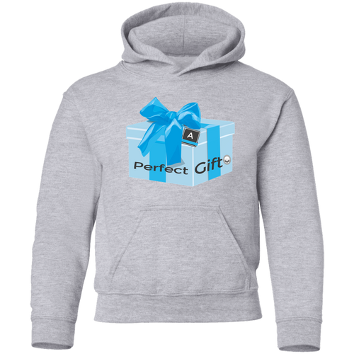 Perfect Gift Youth Pullover Hoodie