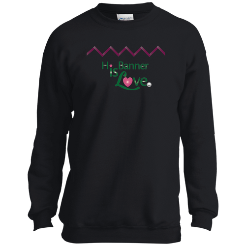 Banner Youth Crewneck Sweatshirt