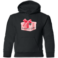 Perfect Gift Youth Pullover Hoodie